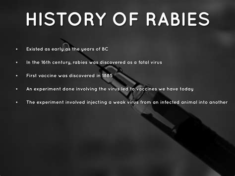 rabies by jerrod myers