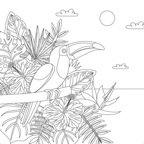 Tropical Bird Coloring Page Colorain Free Mobile App Free Printable