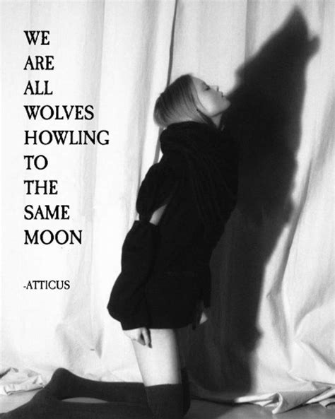 ‘same Moon Atticuspoetry Atticuspoetry Atticus Poetry Poem Quote