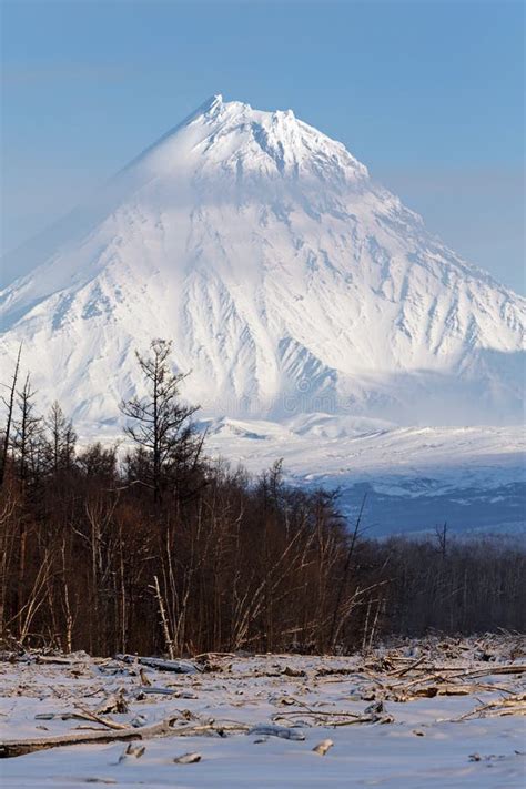 Winter View Of Volcanoes Of Kamchatka Peninsula Stock Photo Image