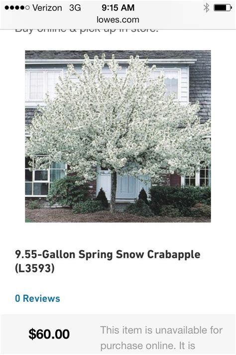 Spring Snow Crabapple Tree Love Spring Snow Crabapple Crabapple Tree