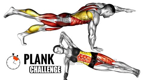 5 Plank Exercises That Will Fire Up Your Entire Core Youtube