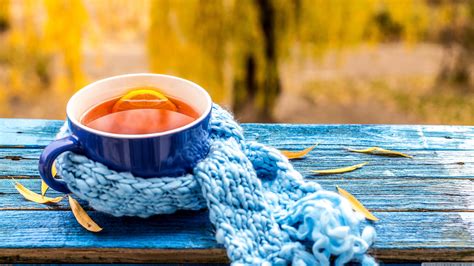 Cup Of Tea In Autumn Wallpaper Nature And Landscape
