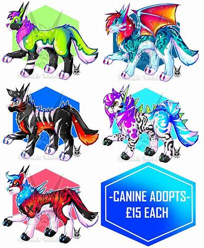 Adopts Canine Furry Amino Interested