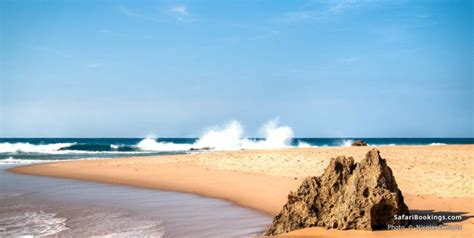 Top 10 Best Beaches In Africa 2024 Safaribookings