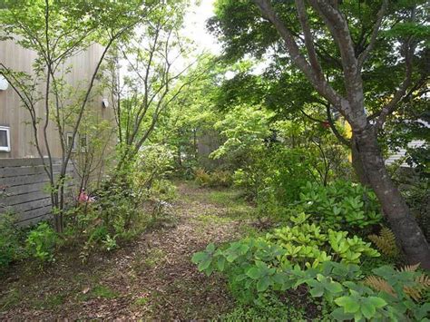 雑木の庭の効用について① | Kokegurashi（こけぐらし）