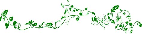 Green Vine Ivy Clip Art At Vector Clip Art Online Royalty
