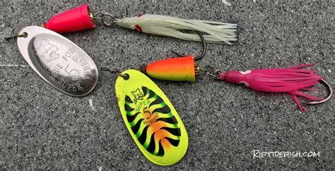 10 Amazing Lures For Coho Salmon In Rivers