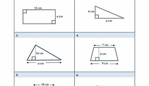Area of 3D shapes review worksheet | KS3-4 maths | Teachit