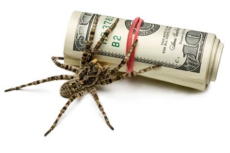 Spider On Dollar Bill Meaning
