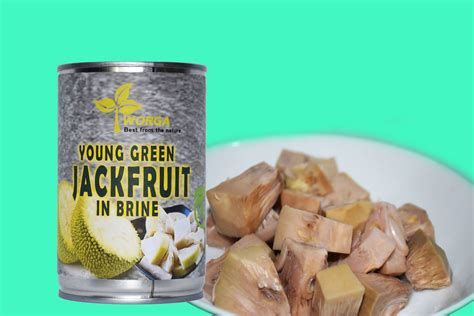 Organic Young Green Jack Fruit In Brine Jackfruit Organic Recipes