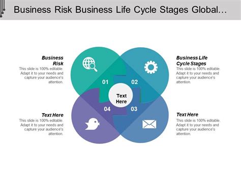 Business Risk Business Life Cycle Stages Global Investment Risk