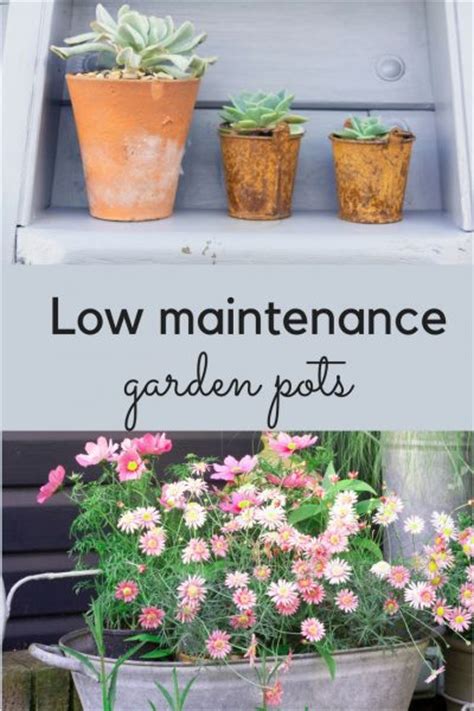 Low maintenance garden designs are often seen as harsh and unsympathetic spaces that little character or appeal. The best plants for amazingly low maintenance garden pots ...