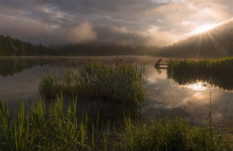 Nature Landscape Sunrise Lake Clouds Mist Forest Shrubs Water