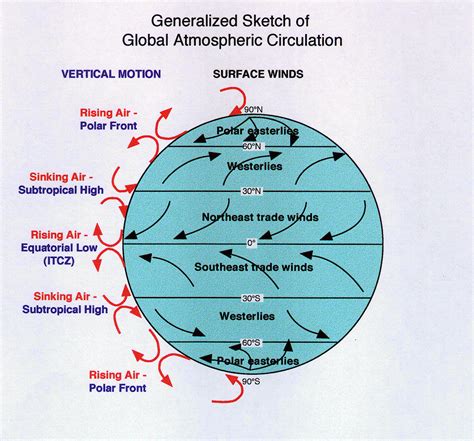 Boundaries Between Circulation Cells Air Moves Vertically And Surface