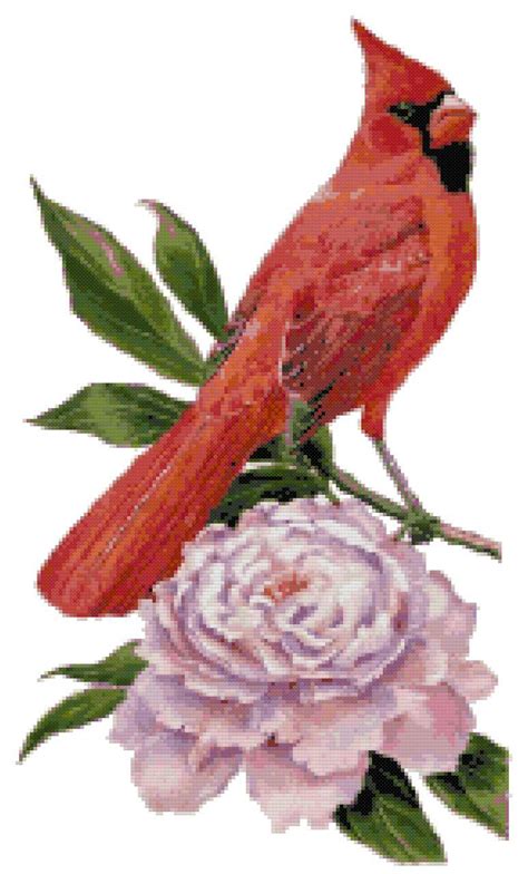 Indiana State Bird And Flower Northern Cardinal And Peony