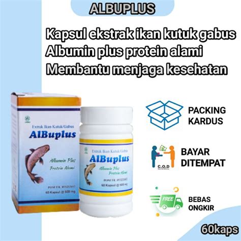 Jual Kapsul Albumin Ikan Kutuk Ikan Gabus Premium 60kapsul Shopee