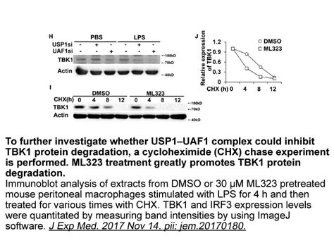 Cycloheximideantibioticinhibiter Of Protein Synthesis In Eukaryotes