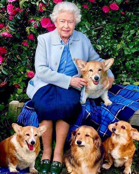 Queen Elizabeth Ii And The Welsh Pembroke Corgi Have Become An Iconic