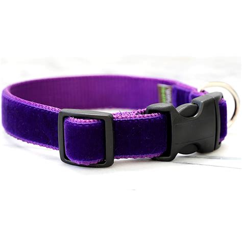 DD: Purple Velvet Dog Collar - 'Prince'