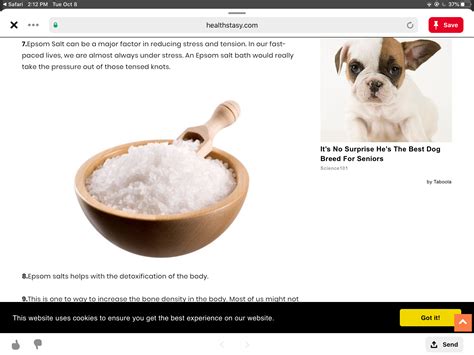 This may be too much. Pin by Lori Hagan on Health | Best dog breeds, Epsom salt ...