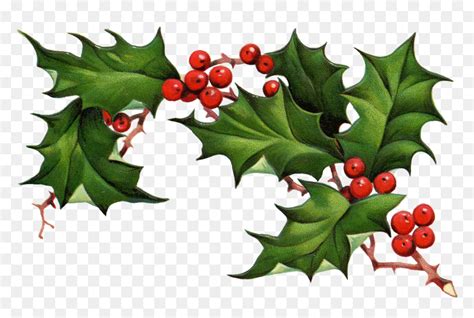 Christmas Holly Border Free Clipart Free Clip Art Images Christmas