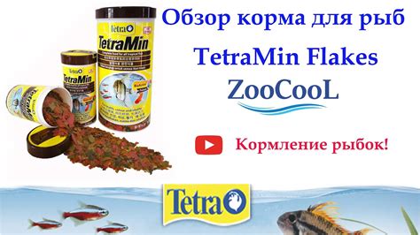 Обзор корма для аквариумных рыб TetraMin Flakes. Кормление рыб хлопьями ...