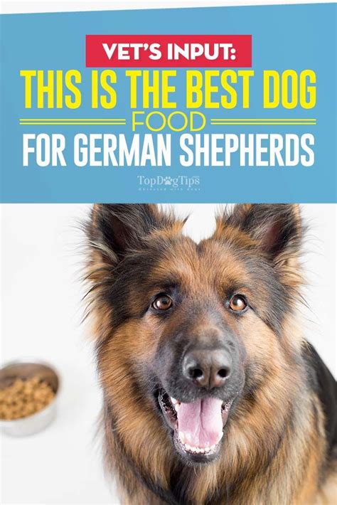 Which is the best dog food for a german shepherd? 584 best Best Dog Food For... images on Pinterest