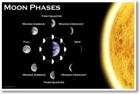 Moon Phases Classroom Science Poster Buy Online In Uae At Desertcart