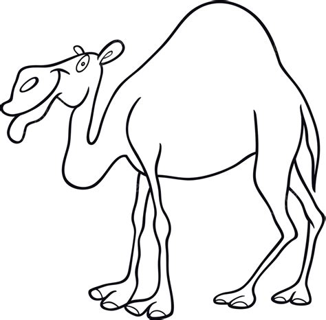 Dromedary Camel For Coloring Book Meter Egypt Tool Vector Meter Egypt