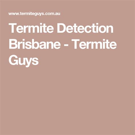 Termite Detection Brisbane Termite Guys Termite Inspection