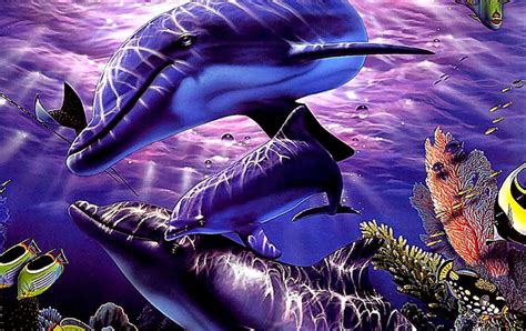 46 Free Animated Dolphin Wallpaper Desktop On Wallpapersafari