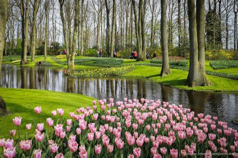 Visiting And Photographing Tulip Season In Netherlands The Ultimate