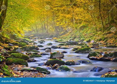 Landscape Magic River In Autumn Forest At Sunlight Stock Image Image