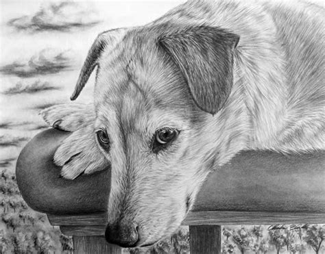 Check spelling or type a new query. Realistic Animal Drawings - XciteFun.net