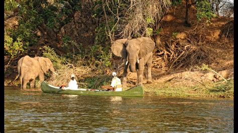 Chobe Enclave Botswana Overview Youtube