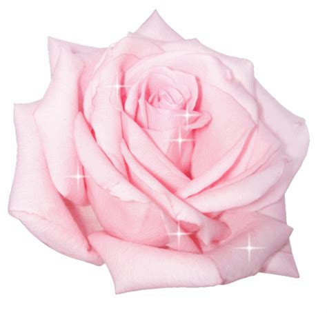 Rose Flower Animated Images Flower Animation Flowers Rose Clipart