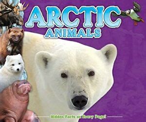 They're known for the interesting patterns on their skin. Arctic Animals Fun Facts for Kids by Kidsbooks 9781588658371 | eBay