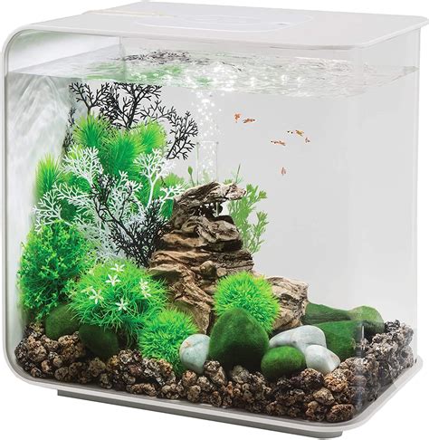 Biorb Flow 30 Aquarium With Led Acrylic Fish Tanks Aquarium Fish