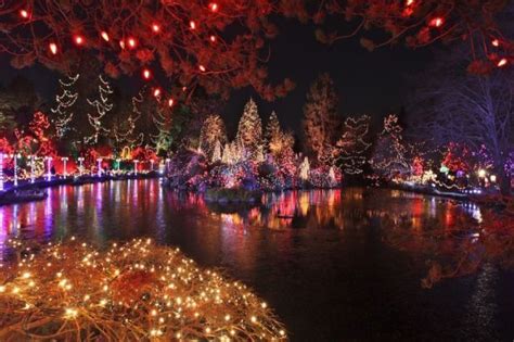 Amazing Christmas Lights 70 Pics