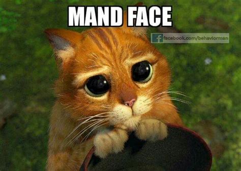 Manding Mand Face Daryl E Beth Funny Mom Quotes Funny Memes Shrek