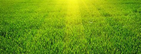 Nowtv 宣佈今日正式啟動歐國盃頻道 now sports 618 台，只要購買了通行證的客戶，就可以透過 now sports 618 台收看多個賽事的特備節目，包括《歐洲國家盃 2020 進軍決賽周》、《真. 西班牙 ALTELI - 所有文章 第2頁 | 運動視界 Sports Vision