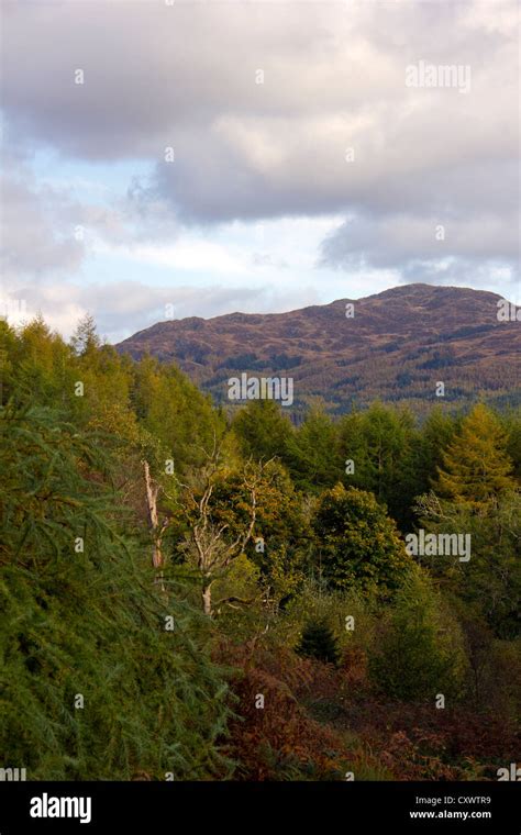 Galloway Hills In Galloway Forest Park In Scotland Stock Photo Alamy