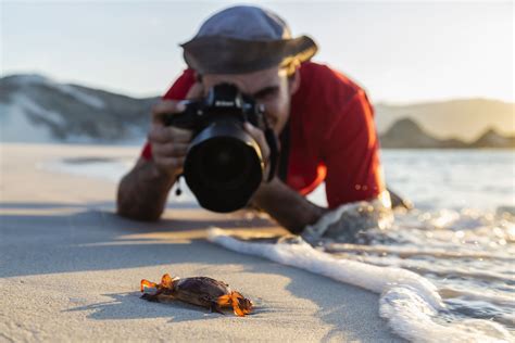 How To Win Photo Contests By Taking Great Pictures