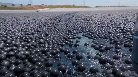 The Reason This Reservoir Is Covered In 96000000 Black Balls