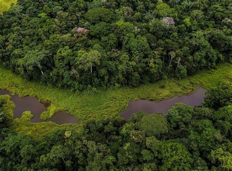 Amazon Rainforest Nature And Culture International