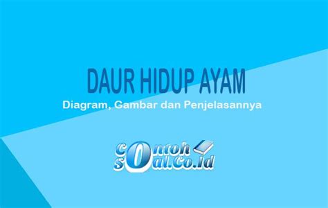 We did not find results for: Daur Hidup Ayam - Diagram, Gambar dan Penjelasannya
