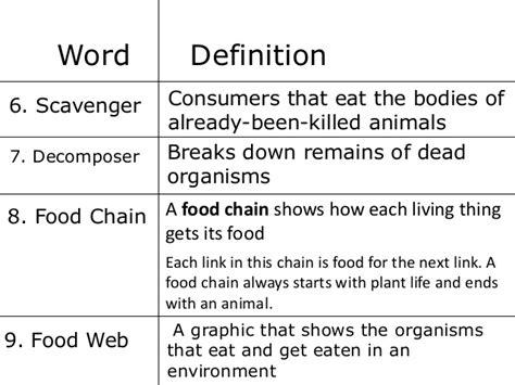 The food web definition in biology can be explained as a visual representation of all the food chains which are connected in a single ecosystem. 2.00 vocabulary