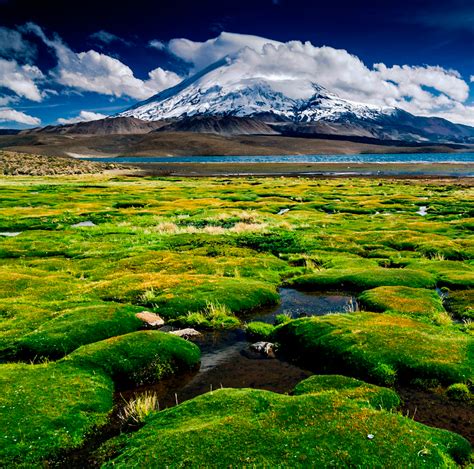 El Parque Nacional Lauca Al Norte De Chile Es Una Joya Natural Que