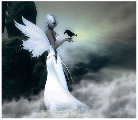 Beautiful White Fairies White Fairy Beautiful Bird